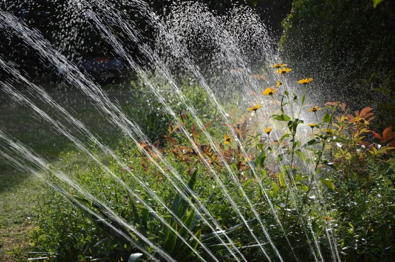 Summer Garden Irrigation – How to Choose the Right System (and Stay Sane)