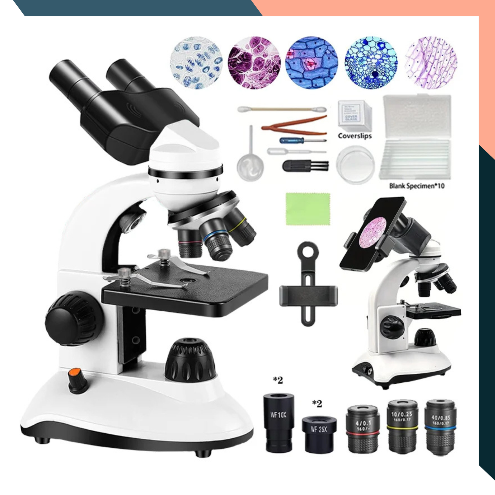 Binocular Microscope 40X-1000X Student Lab Compound LED Light Binocular Microscope 40X-1000X Student Lab Compound LED Light
