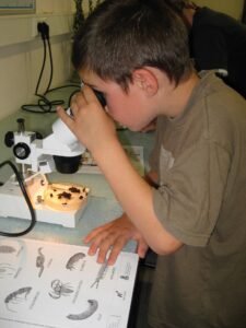 Child observing specimen under microscope.