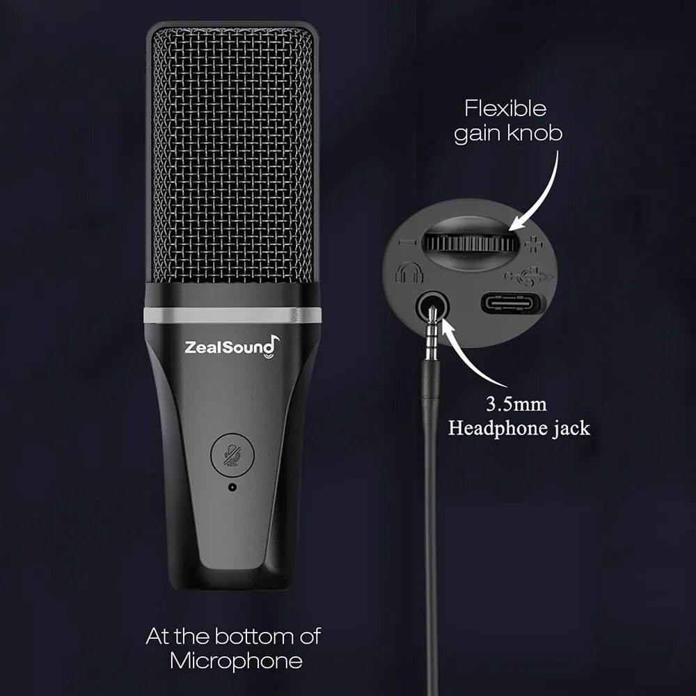 Microphone controls and direct headphone monitoring port